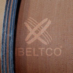 Bandas elevadora de cangilones