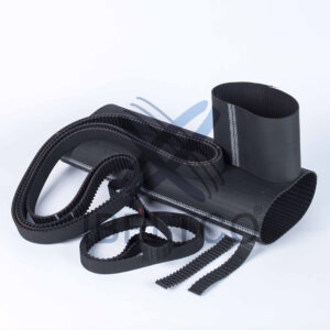 Correas Sincrónicas