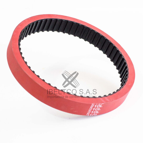 Correas Especiales - Imagen 2