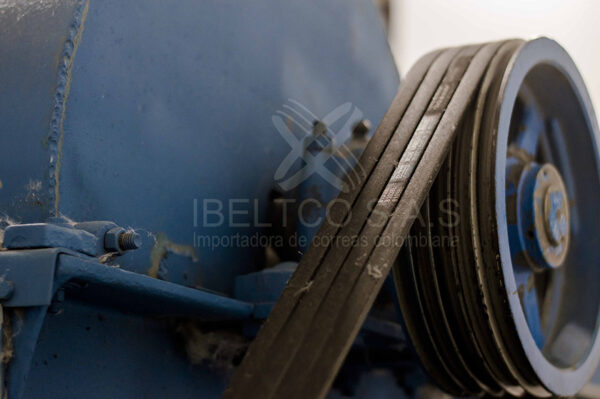 productos Ibelto