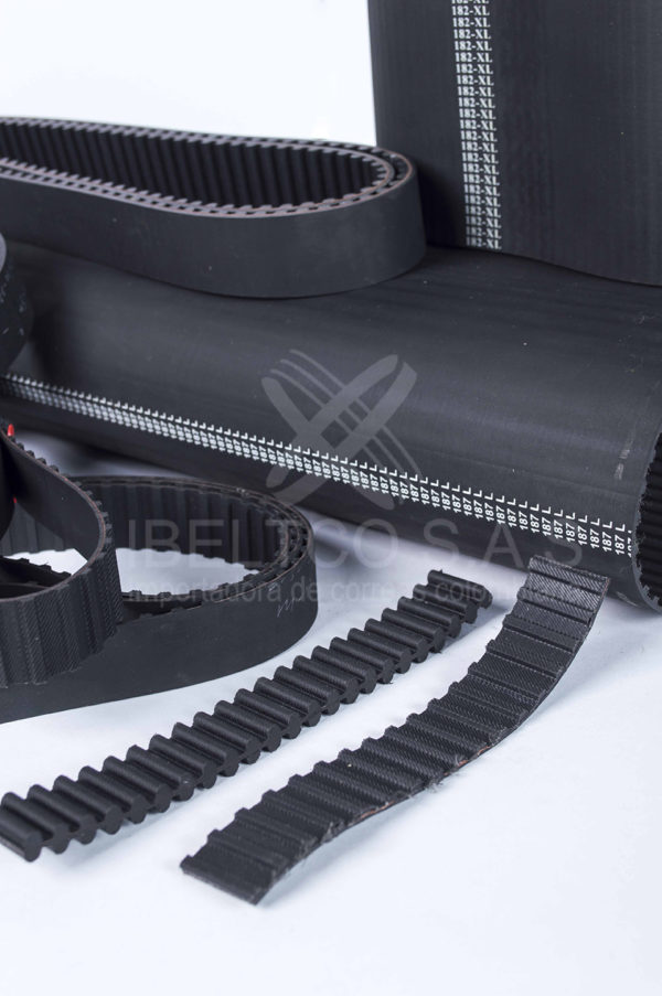 Correas Sincrónicas - Imagen 2