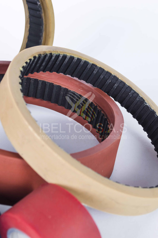 Correas Especiales - Imagen 6