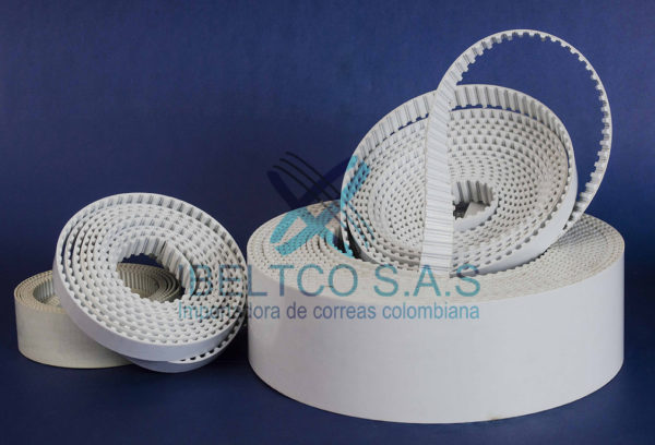 Correas Sincrónicas - Imagen 5