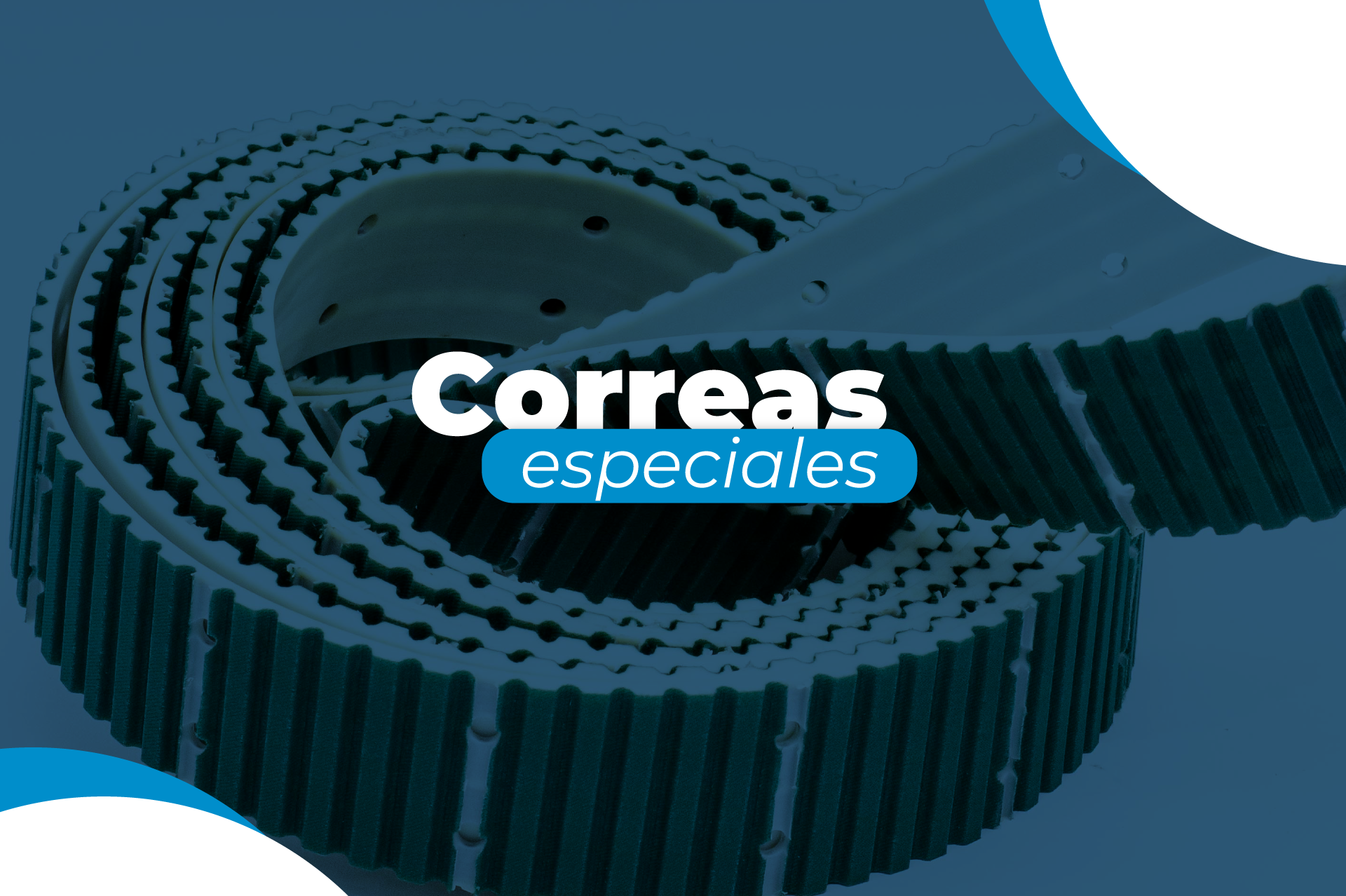 Correas Especiales / Características únicas